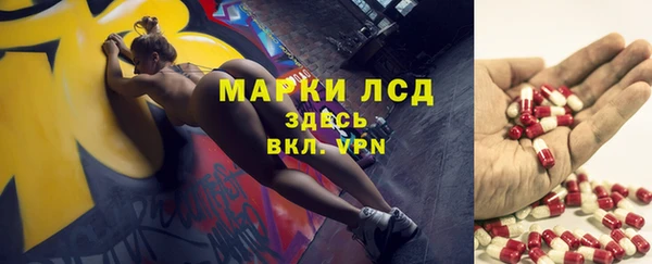 прущие грибы Алзамай