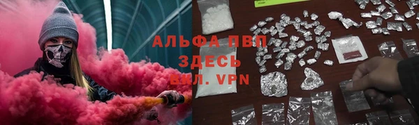гидра Алексеевка