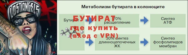 гидра Алексеевка