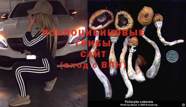 мяу мяу мука Алексин