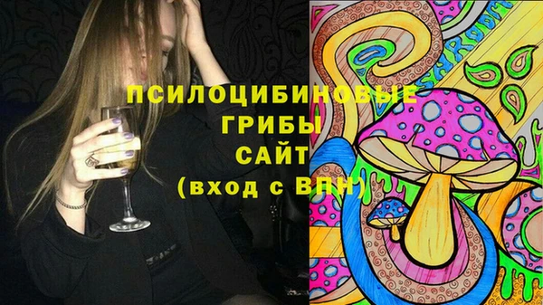 гидра Алексеевка
