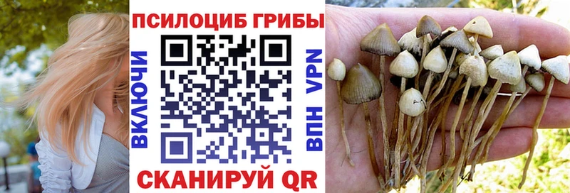 Купить  Нижний Тагил  Псилоцибиновые грибы Cubensis 